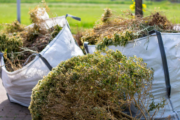 Best Carpet Removal and Disposal  in Carrollton, GA